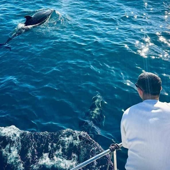 Lu Sea Tour Toro 3 Turista-Observando-Delfines-1-1.jpg