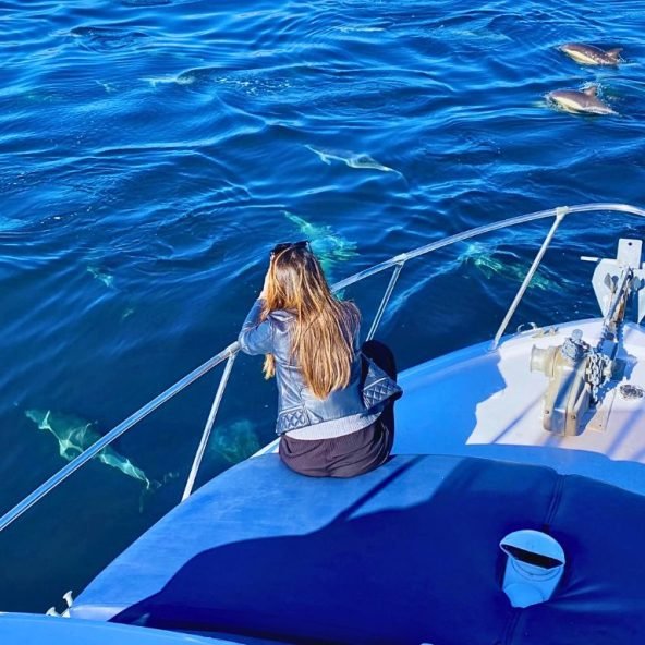 Charters Privados | Private Boat Tours 5 avistamiento-de-delfines-1.jpg