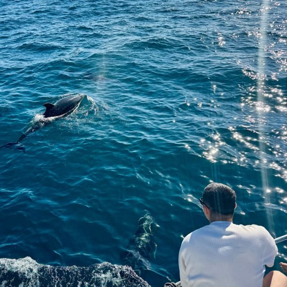 avistamiento-de-delfines-3-scaled.jpeg